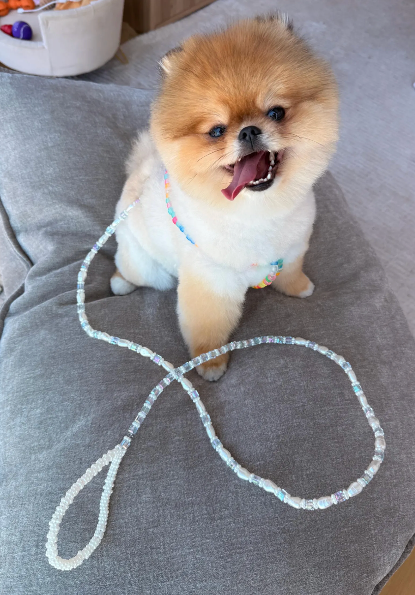 Crystal Pearl Beaded Dog Leash – Elegant Handmade Pet Accessory